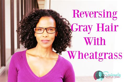 Reversing gray hair. Things To Know About Reversing gray hair. 